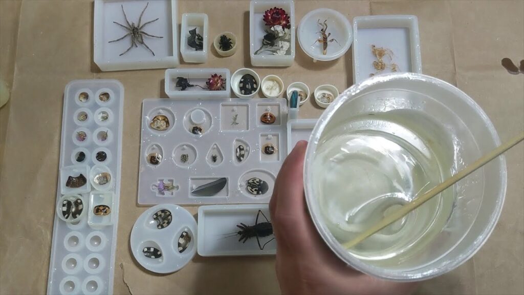 How to Preserve a Spider in Resin